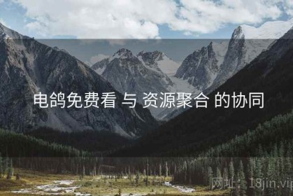 电鸽免费看 与 资源聚合 的协同