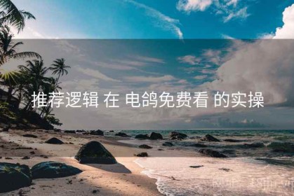 推荐逻辑 在 电鸽免费看 的实操