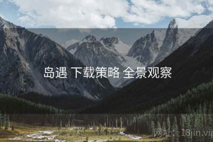 岛遇 下载策略 全景观察