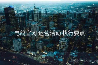 电鸽官网 运营活动 执行要点