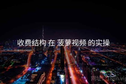 收费结构 在 菠萝视频 的实操