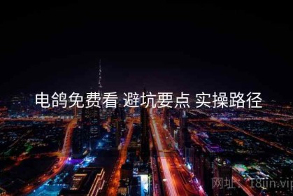 电鸽免费看 避坑要点 实操路径
