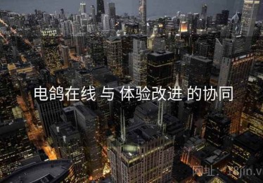 电鸽在线 与 体验改进 的协同