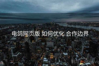 电鸽网页版 如何优化 合作边界