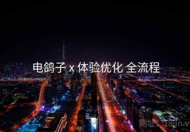 电鸽子 x 体验优化 全流程