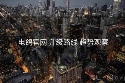 电鸽官网 升级路线 趋势观察