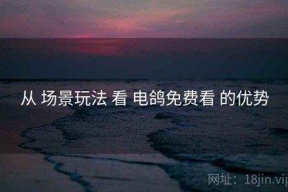 从 场景玩法 看 电鸽免费看 的优势