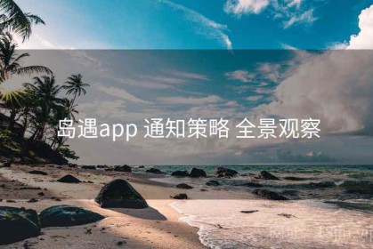 岛遇app 通知策略 全景观察