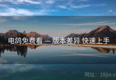 电鸽免费看 — 版本差异 快速上手