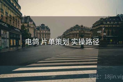 电鸽 片单策划 实操路径