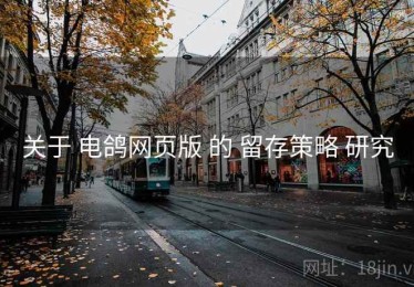 关于 电鸽网页版 的 留存策略 研究