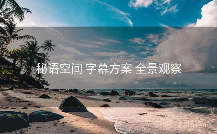秘语空间 字幕方案 全景观察