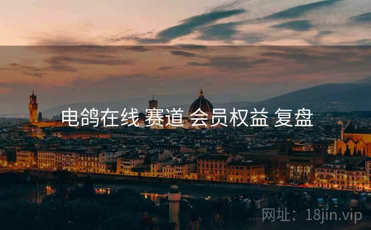 电鸽在线 赛道 会员权益 复盘