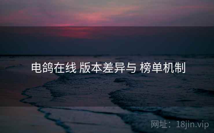 电鸽在线 版本差异与 榜单机制